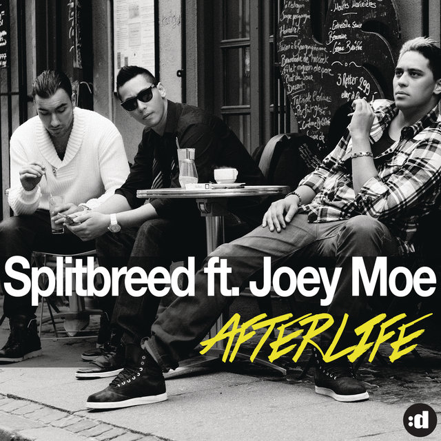 Afterlife (feat. Joey Moe)