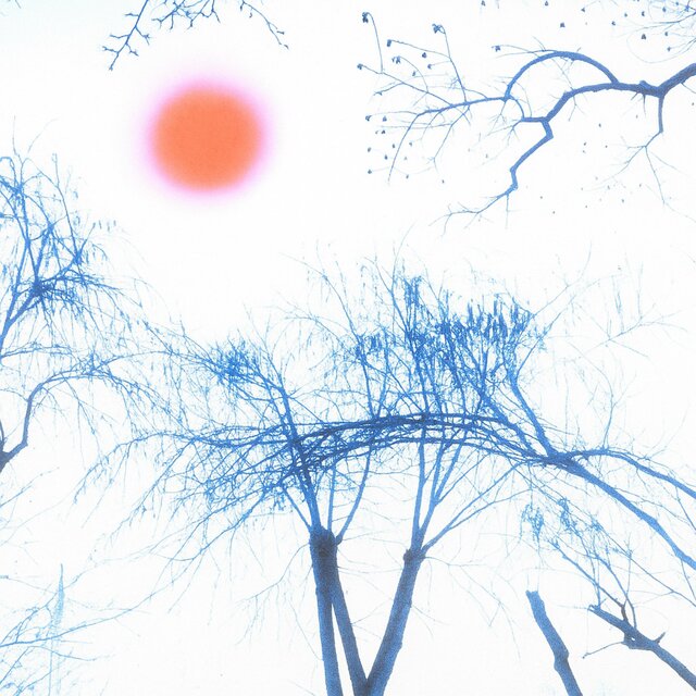Echo Without Sound
