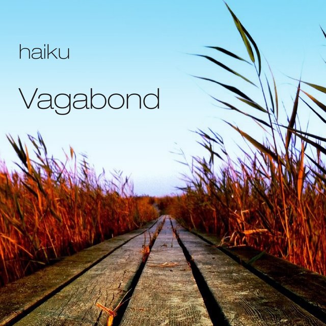 Vagabond