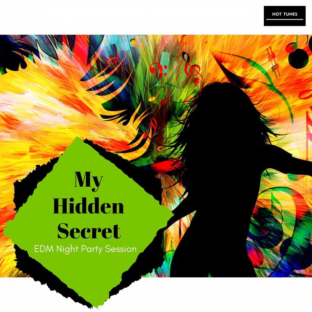 My Hidden Secret - EDM Night Party Session