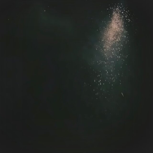 The City