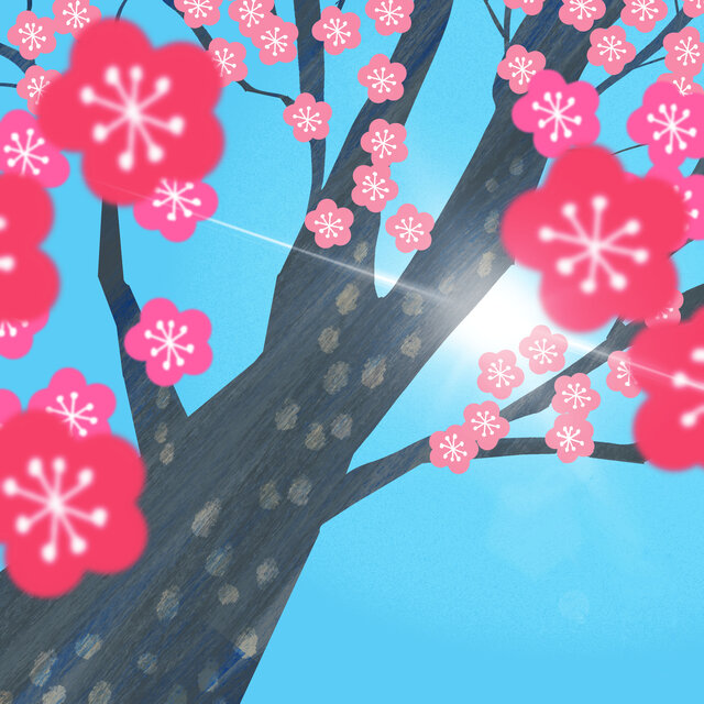 After the ume blossoms bloom