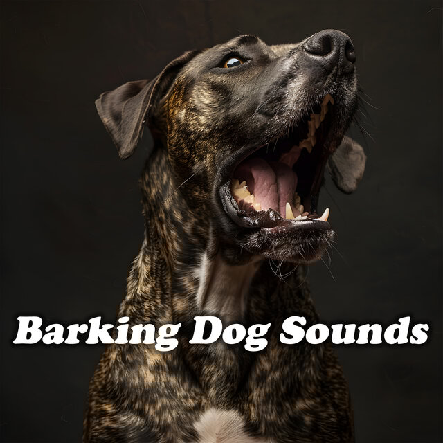 Barking Dog Sounds