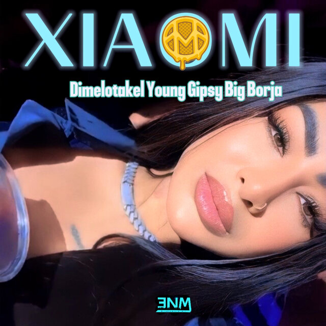 Xiaomi