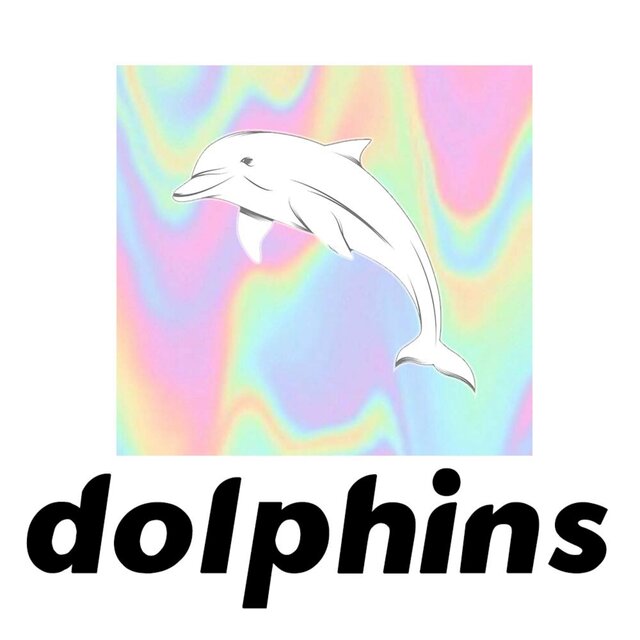 dolphins