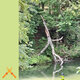 Cover art for album Run Club by Sam Gendel