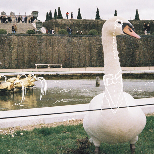 Monsieur Honk
