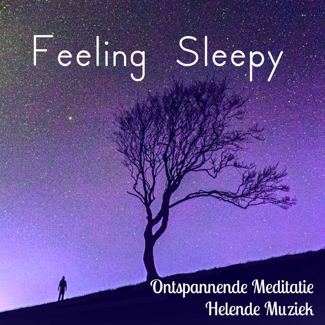 Feeling Sleepy - Ontspannende Meditatie Helende Muziek voor Yoga Chakra Studie Technieken Reiki Behandeling met Natuur Instumentale New Age Geluiden