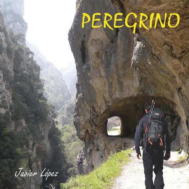 Peregrino