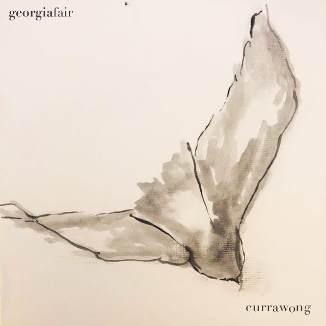 Currawong