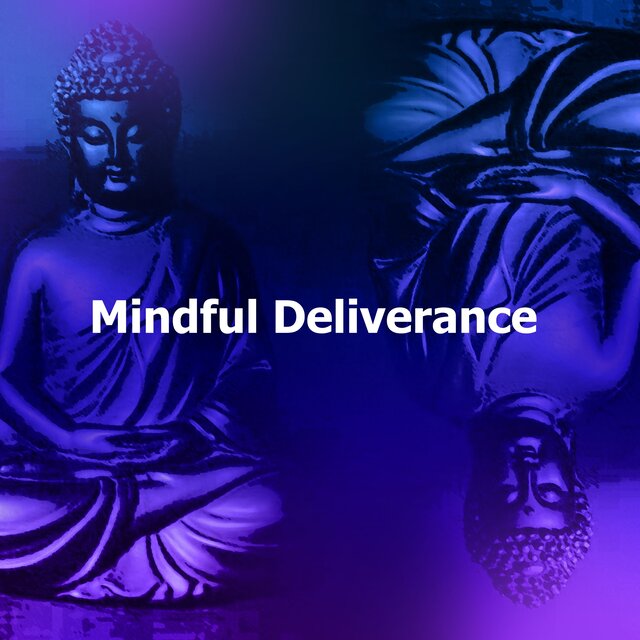 Mindful Deliverance