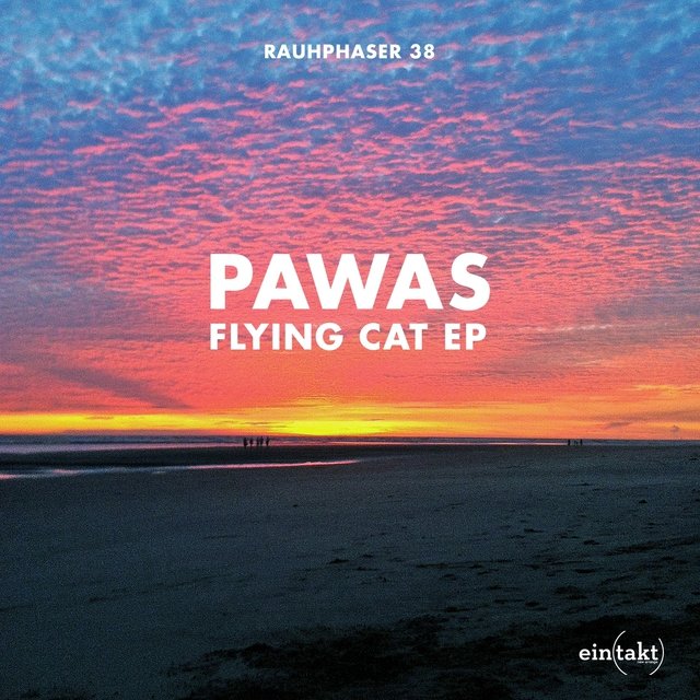 Flying Cat