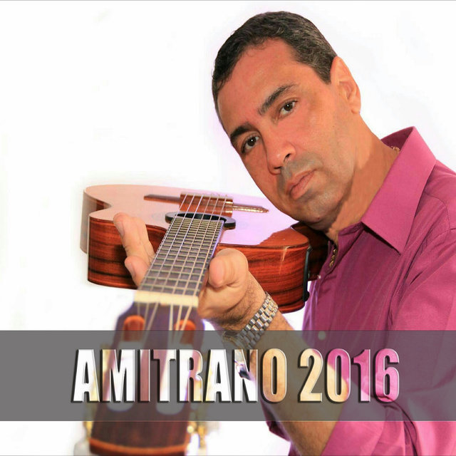 #Amitrano2016