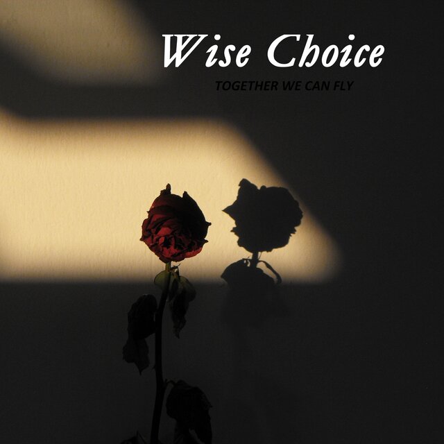 Wise Choice: TOGETHER WE CAN FLY (Radio Edit)