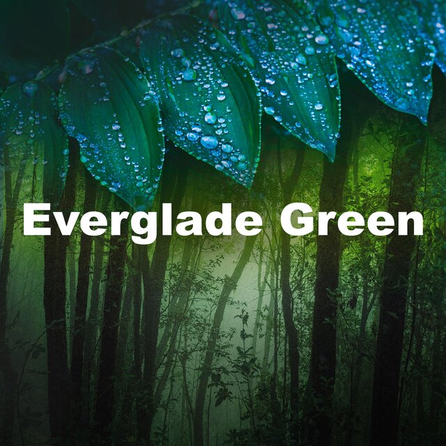Everglade Green