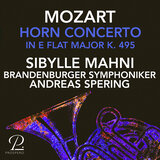 Horn Concerto No. 4 in E-Flat Major, K. 495: II. Andante cantabile