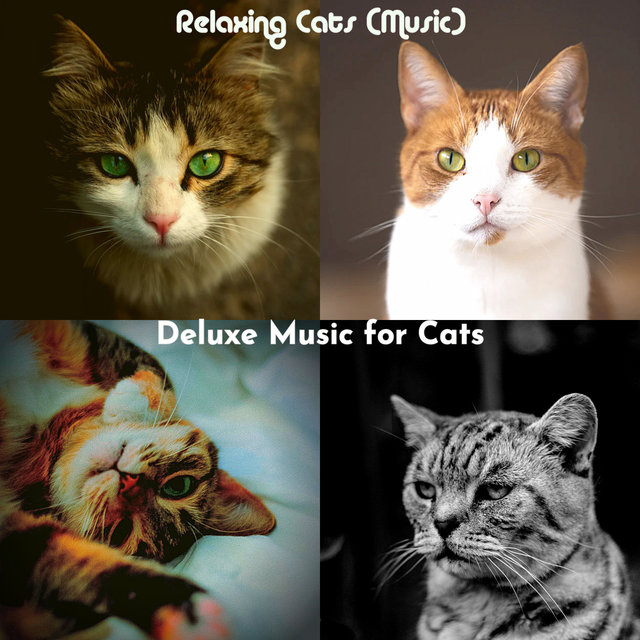 Relaxing Cats (Music)