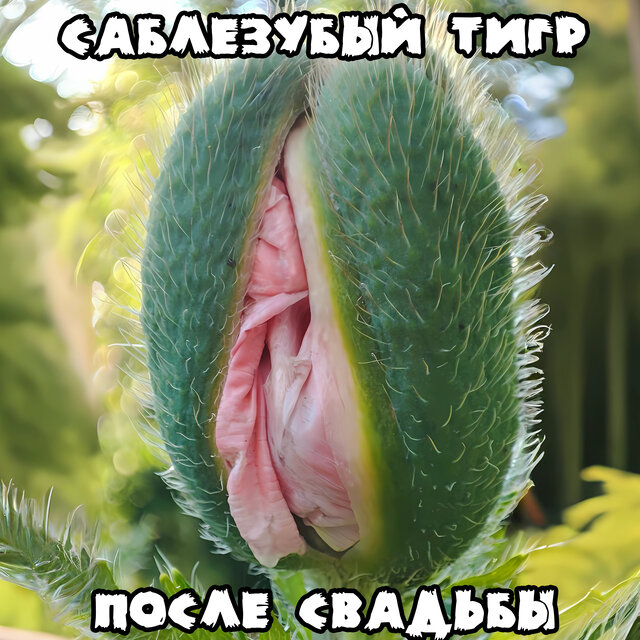 После свадьбы