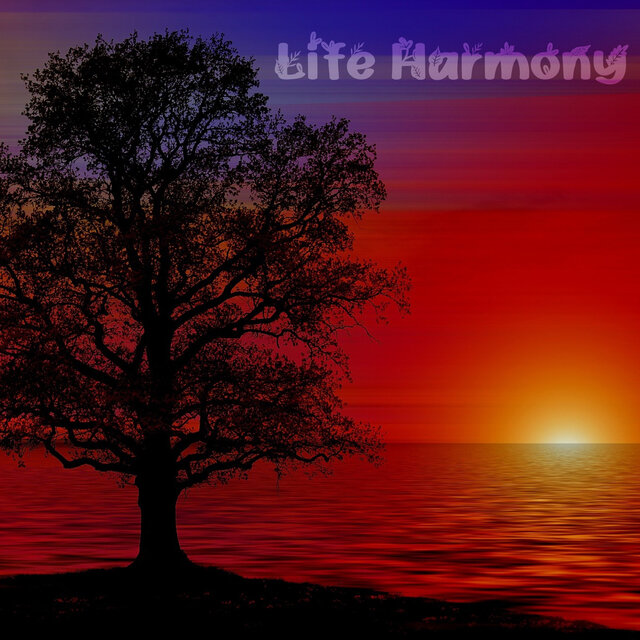 Life Harmony