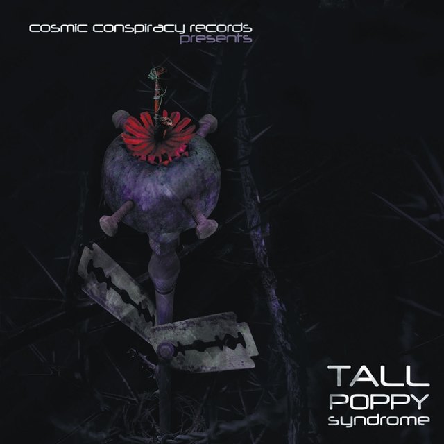 Tall Poppy Syndrome