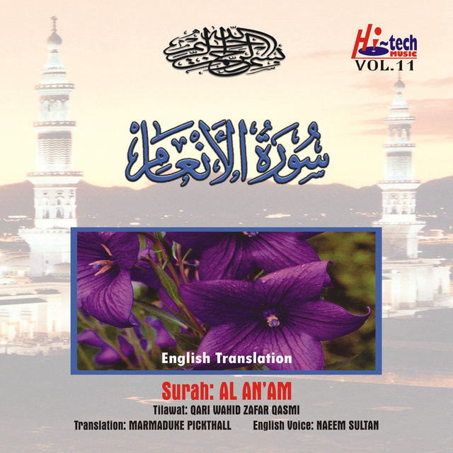 Complete Holy Quran Vol. 11 (with English Translation)