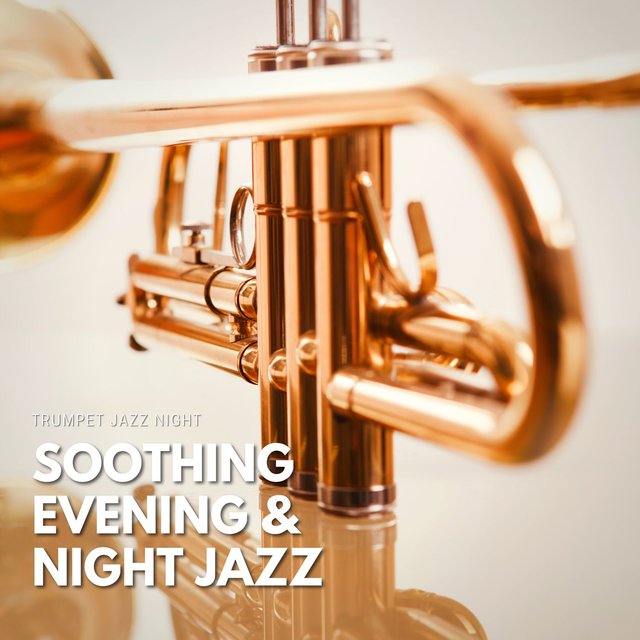 Soothing Evening & Night Jazz Relaxation