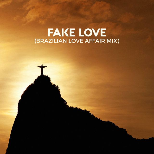 Fake Love (Brazilian Love Affair Mix)