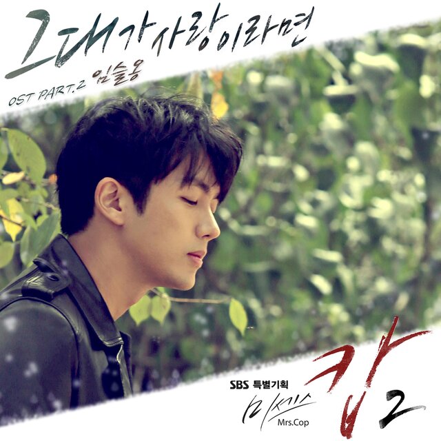 Mrs. Cop2 (Original Soundtrack) Part.2