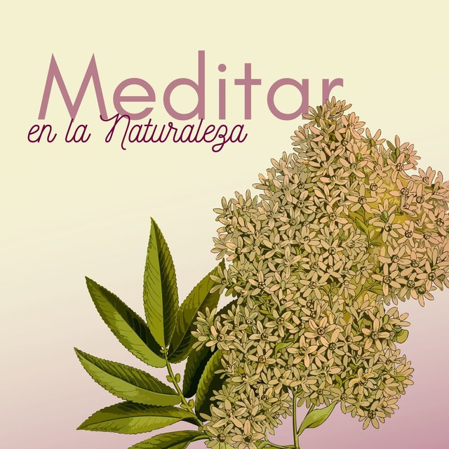 Meditar en la Naturaleza: Música Relajante Zen para Yoga y Meditación, Sanar los 7 Chakras