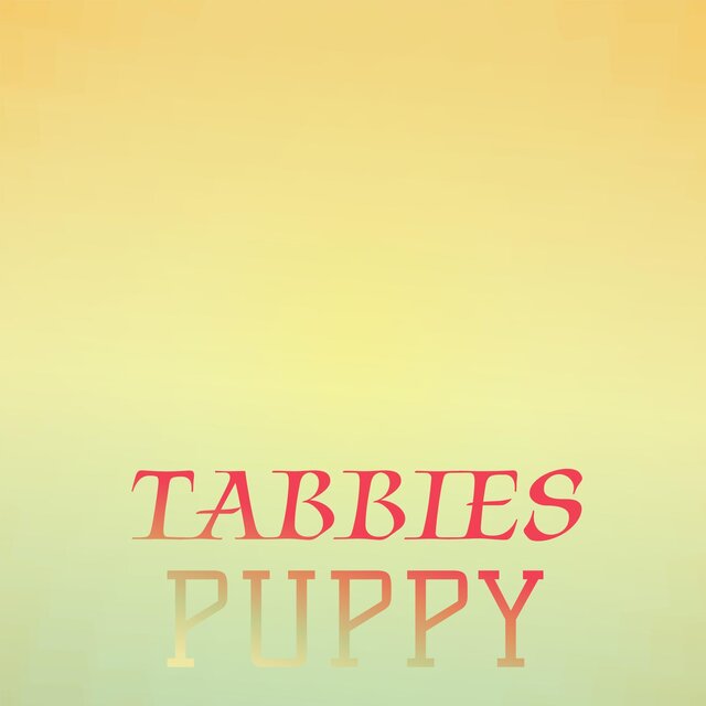 Tabbies Puppy