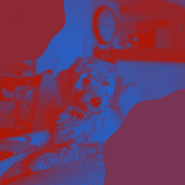 Backdrop for Doggy Naptime - Tasteful Acoustic Guitar
