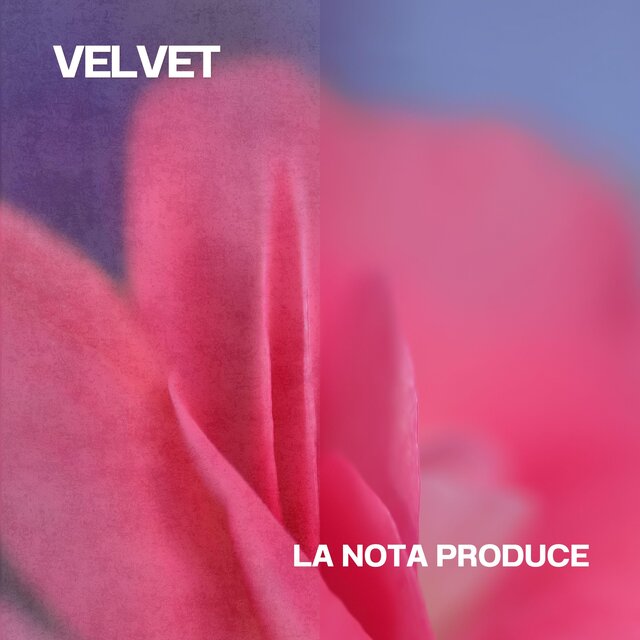 velvet