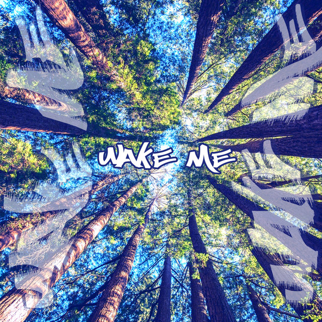 Wake Me
