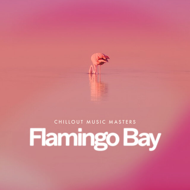 Flamingo Bay