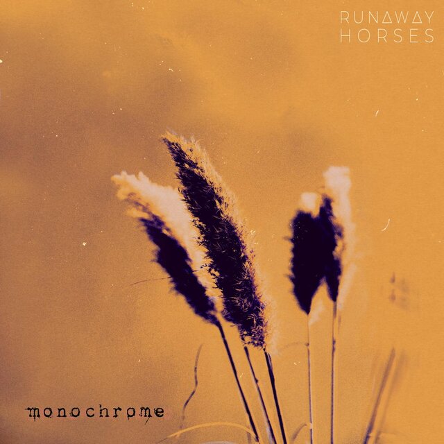 Monochrome