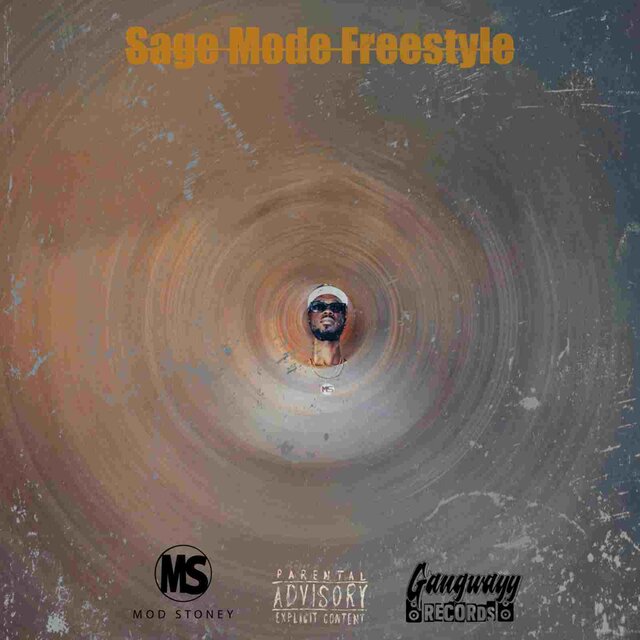 Sage Mode Freestyle