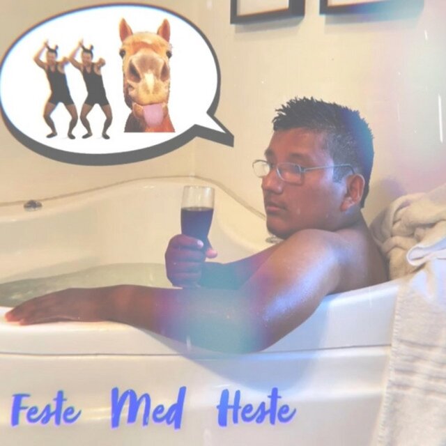 Feste Med Heste