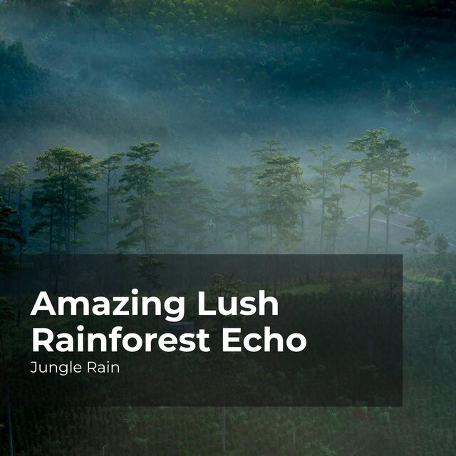 Amazing Lush Rainforest Echo