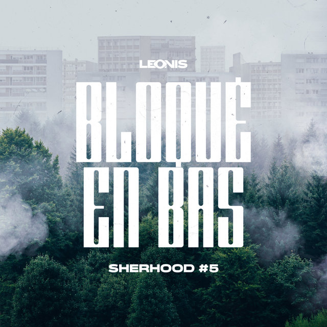 Bloqué en bas (Sherhood #5)