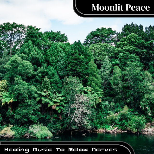 Healing Music To Relax Nerves