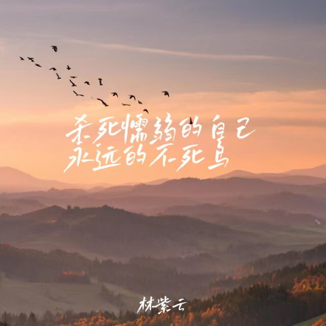 杀死懦弱的自己 永远的不死鸟