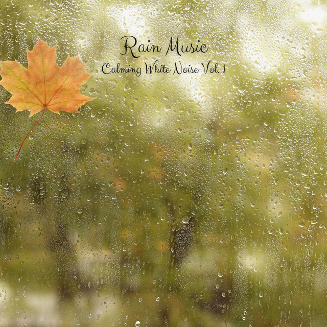 Rain Music: Calming White Noise Vol. 1