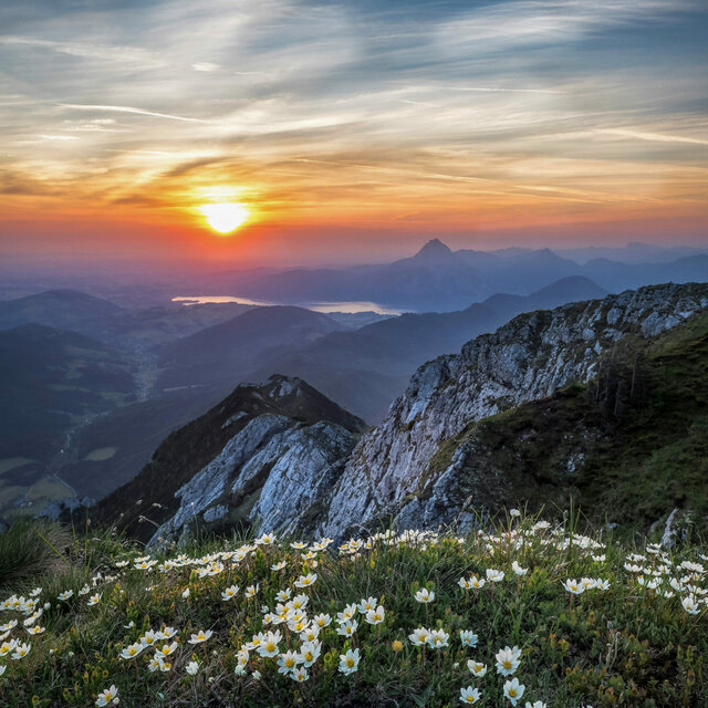1 Ambient Sky: Sunsets For Peace