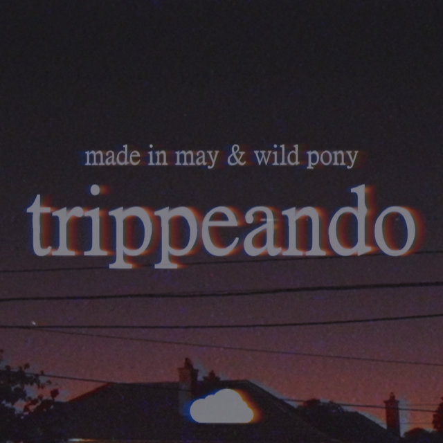 Trippeando