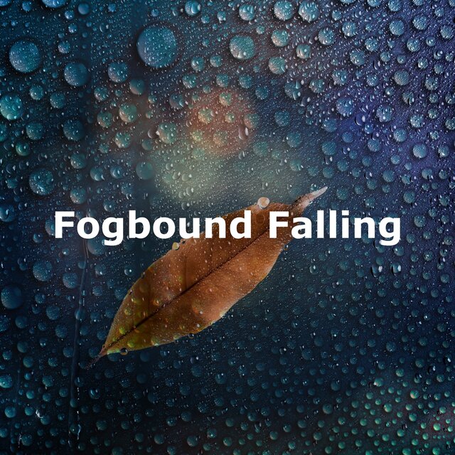 Fogbound Falling