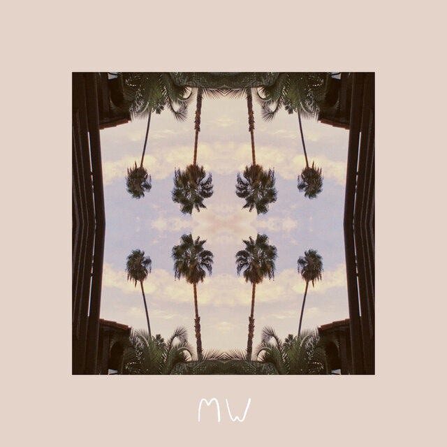 Palm Trees