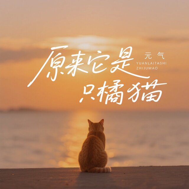 原来它是只橘猫