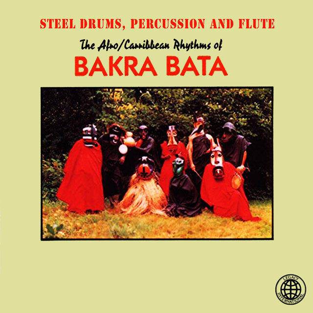 Steel Drums, Percussion and Flute