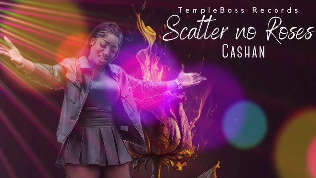 Scatter No Rose