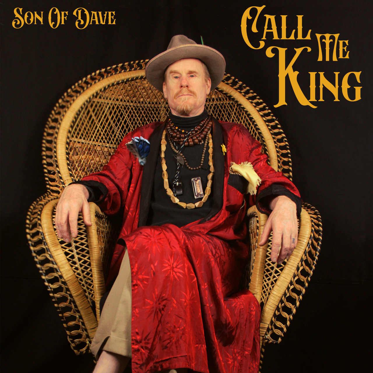 Son Of Dave on TIDAL